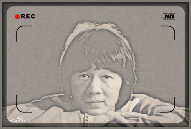 精选许冠英(Ricky Hui)精彩图册