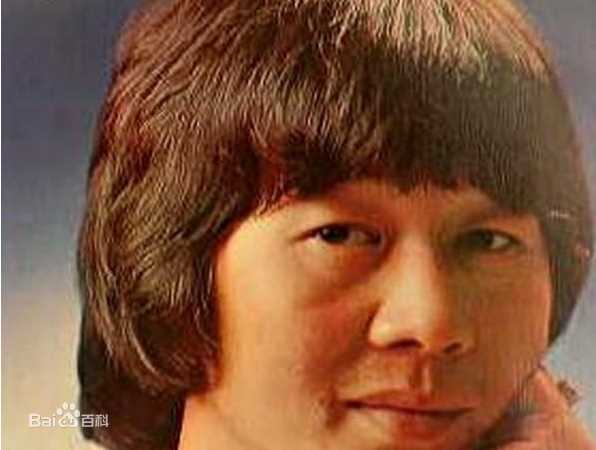 精选许冠英(Ricky Hui)精彩图册