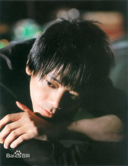 信(Shin)苏见壁纸壁纸