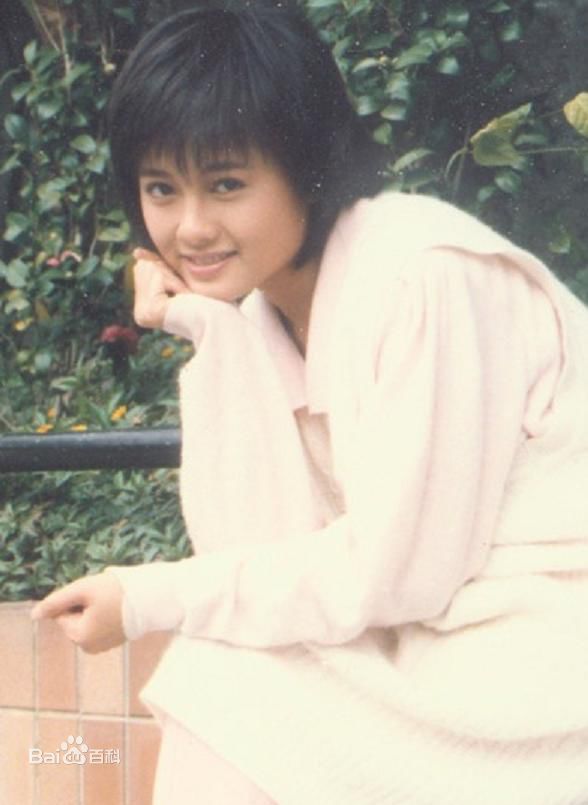 精选李丽珍(Loretta Lee)精彩图册