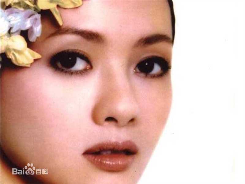 精选李丽珍(Loretta Lee)精彩图册