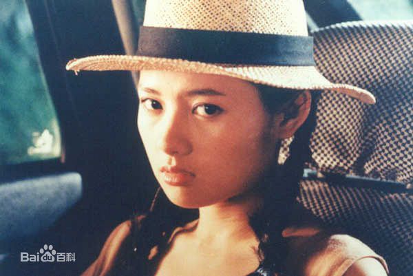 精选李丽珍(Loretta Lee)精彩图册