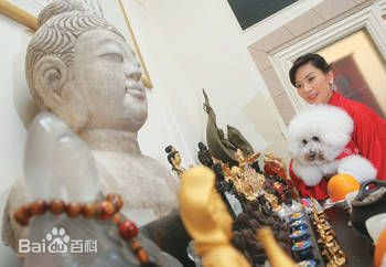 邝美云(Kwong Cally)个人集