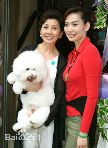 邝美云(Kwong Cally)个人集