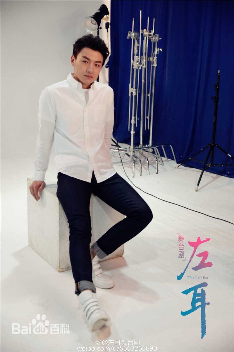 王青演艺活动图片图册