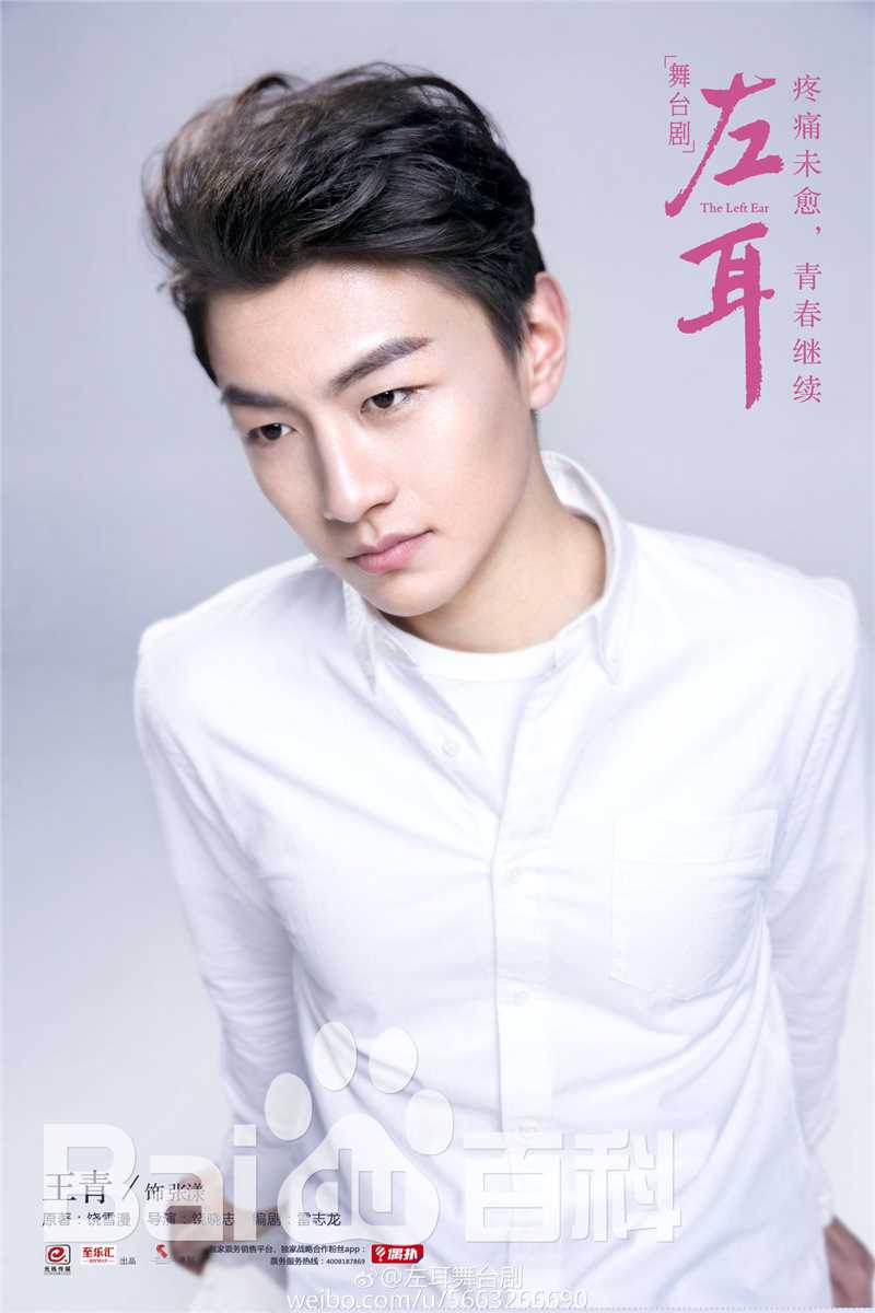 王青演艺活动图片图册