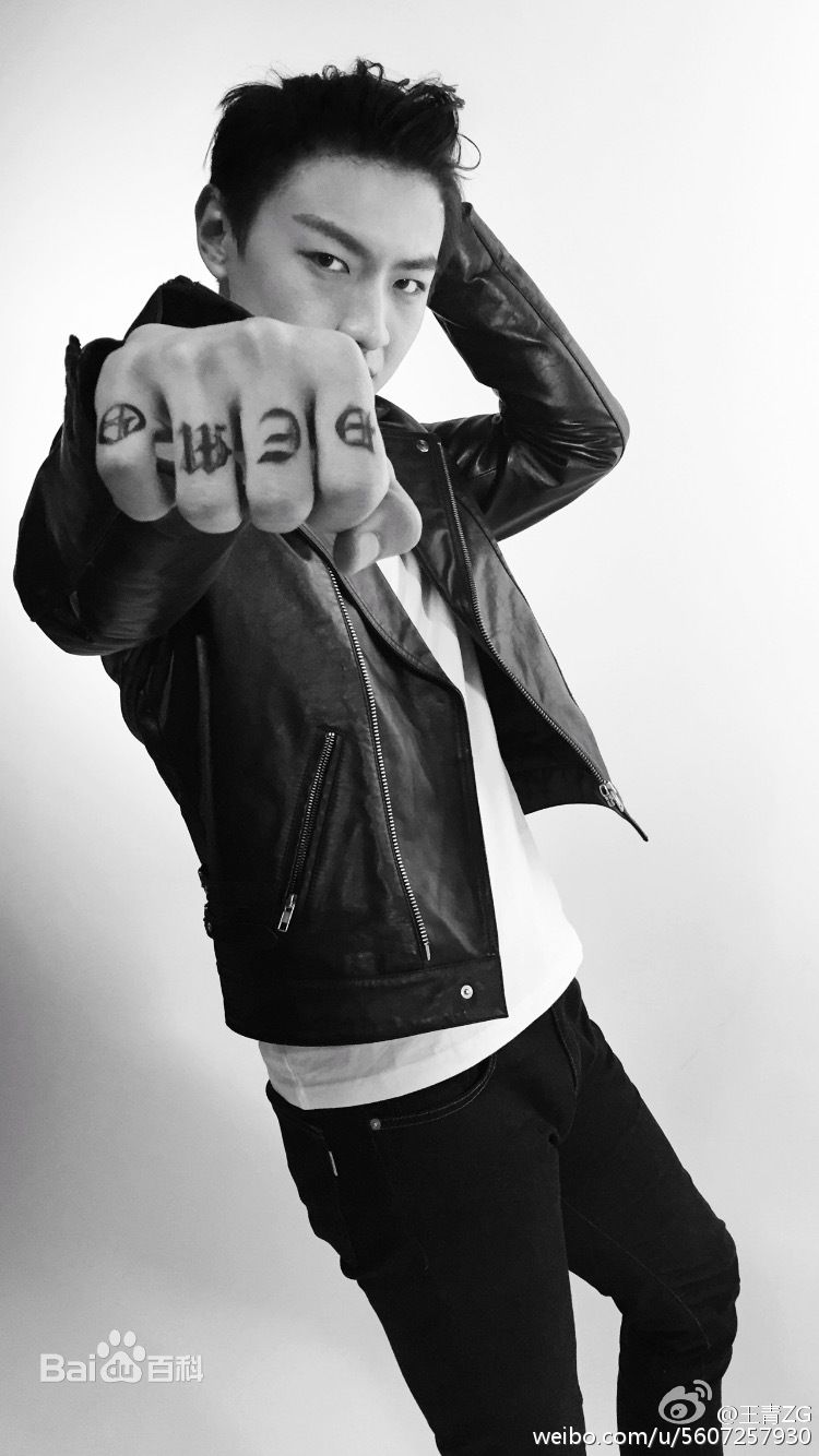 王青演艺活动图片图册