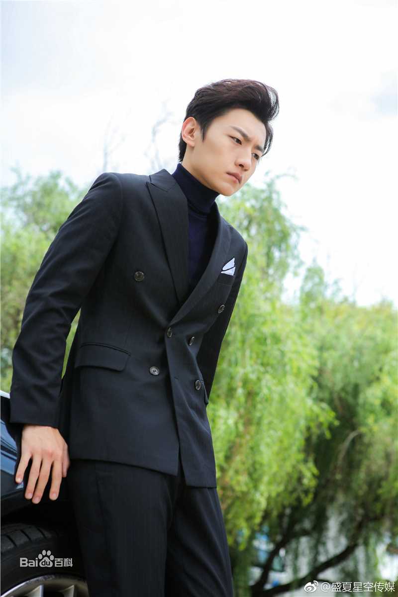 王青演艺活动图片图册