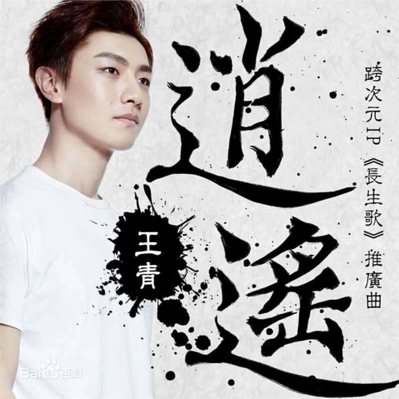 王青演艺活动图片图册