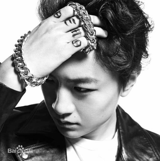 王青演艺活动图片图册