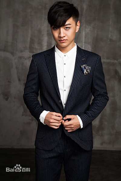 王青演艺活动图片图册