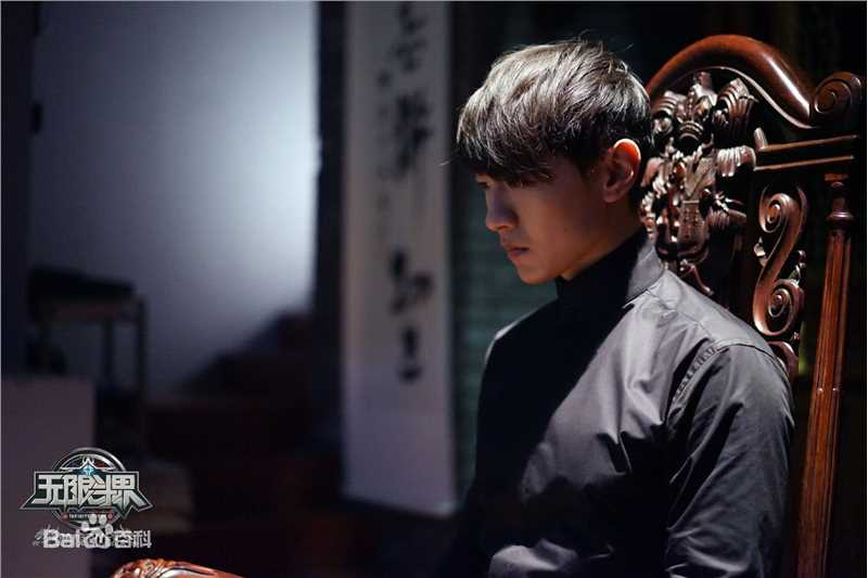 王青演艺活动图片图册