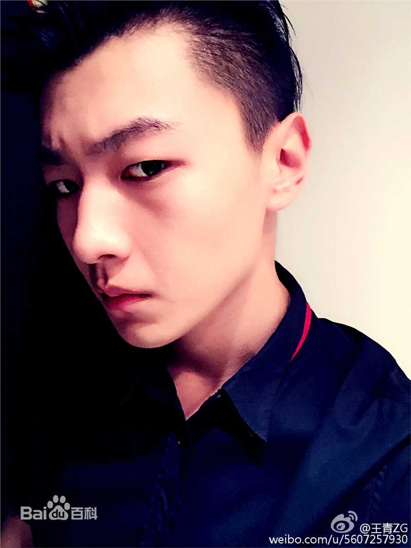 精选王青