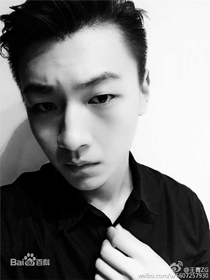 精选王青