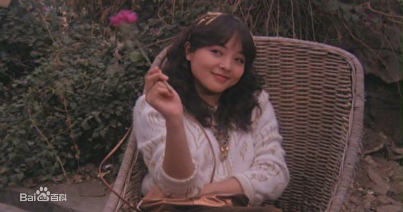 刘蓝溪(Nancy Loo(Lou),ナンシー ルー(ルウ))影视最全剧照