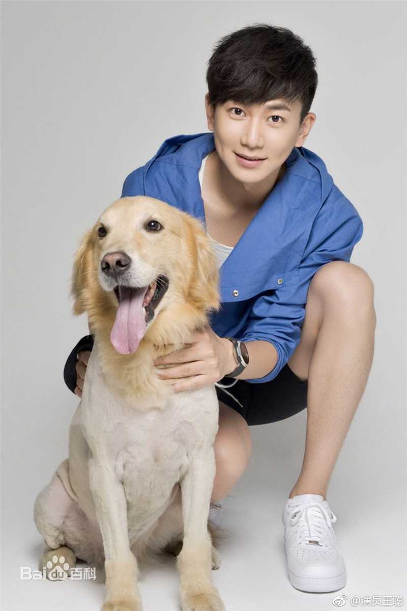 王聪最优质大片相册