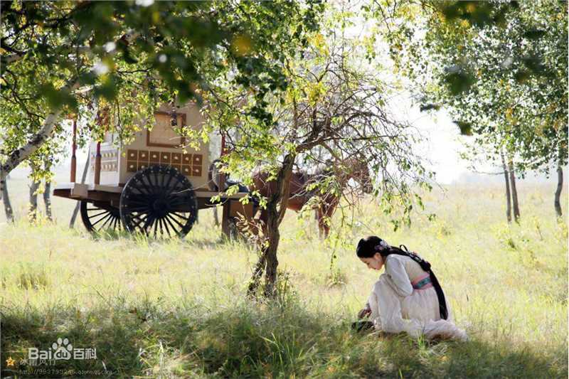 张含韵(Baby Zhang)兰陵王妃最全剧照