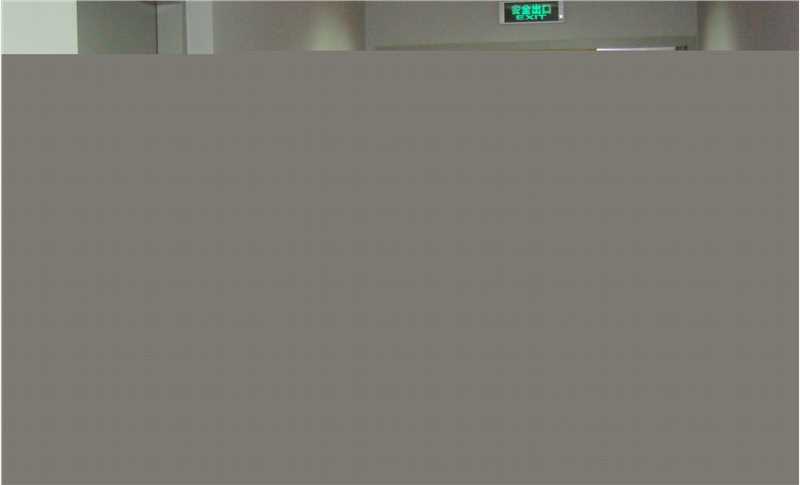 许可嘉照片图册