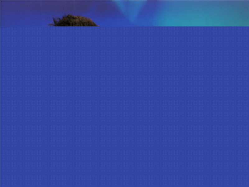 最全田有良在参加《鲁豫有约》中的相册