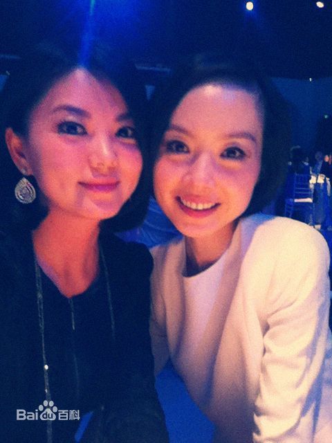 李湘出席活动剪影壁纸壁纸