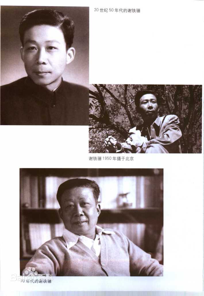 最优质谢铁骊生活照