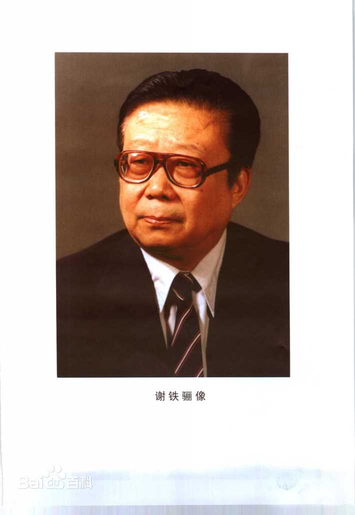 最优质谢铁骊生活照