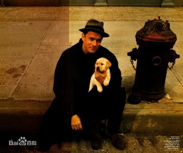 最全汤姆·汉克斯(Tom Hanks)精彩图册