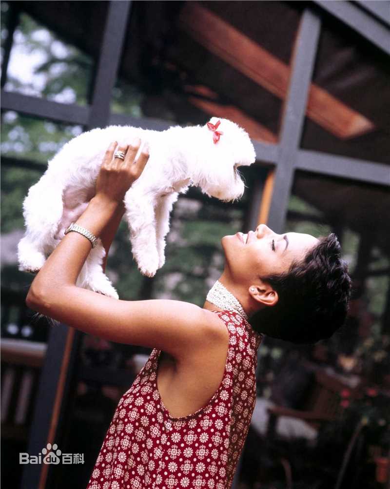 最优质哈莉·贝瑞(Halle Berry)精彩图册