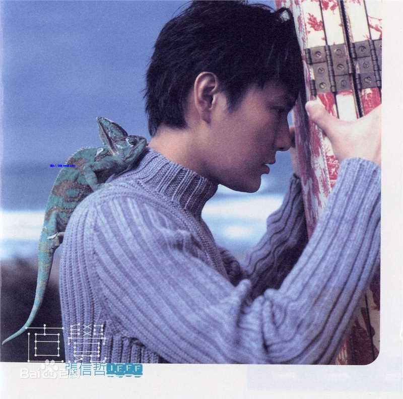 张信哲(Jeff Chang Shin-Che)历年专辑（1996--2010）图片图集