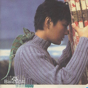 最全张信哲(Jeff Chang Shin-Che)壁纸