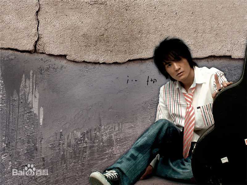 最优质朴树精彩图册