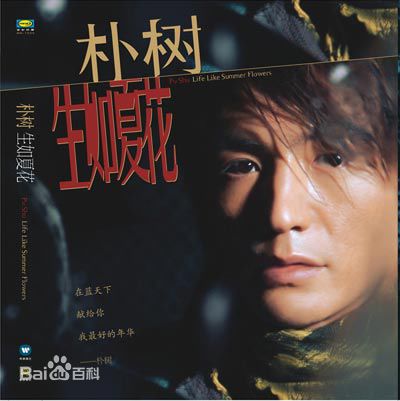 最优质朴树生活照