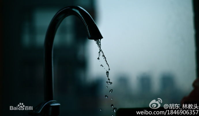 胡东摄影作品图片图集