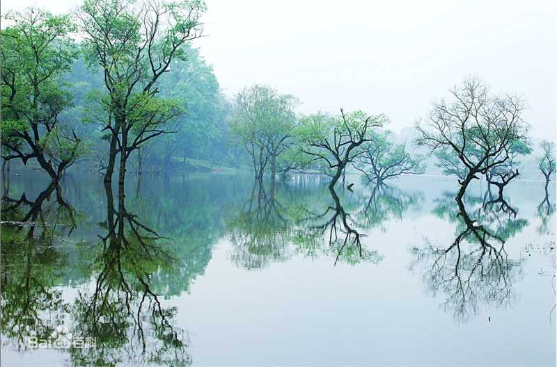 李小明(千百度)代表作品图片图册