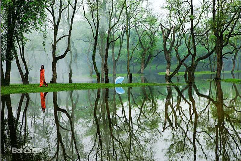 李小明(千百度)代表作品图片图册