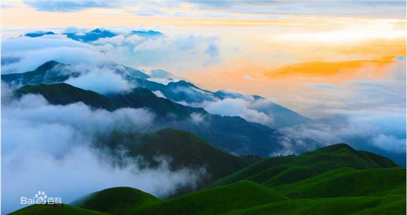 李小明(千百度)代表作品图片图册