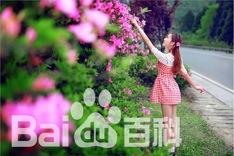 李小明(千百度)作品前后照片