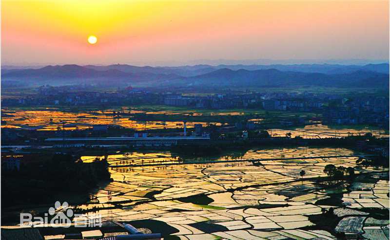 李小明(千百度)作品前后照片
