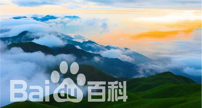 李小明(千百度)作品前后照片