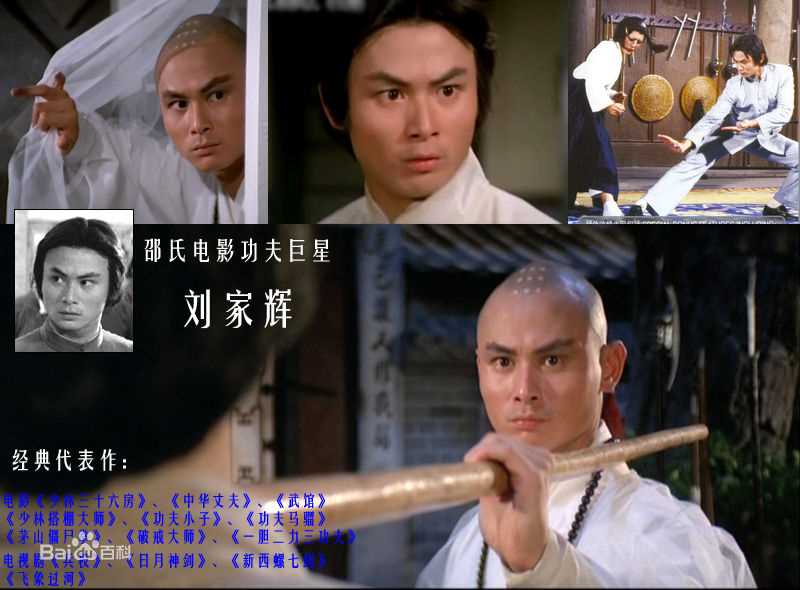最优质刘家辉(Gordon Liu)精彩图册