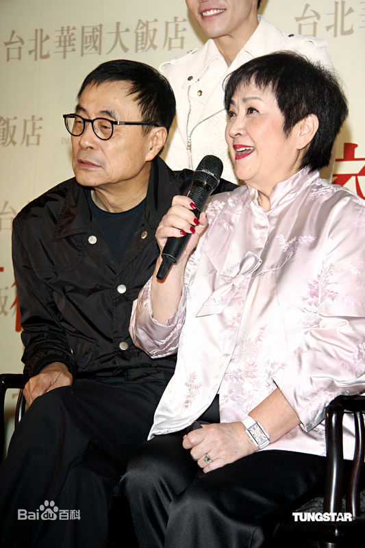 精选刘家昌精彩图册