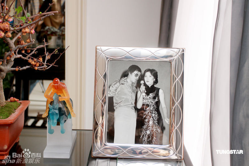 精选刘家昌精彩图册