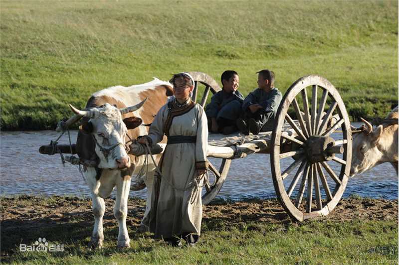精选刘小光精彩图册