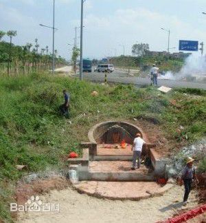 精选叶大鹰图片