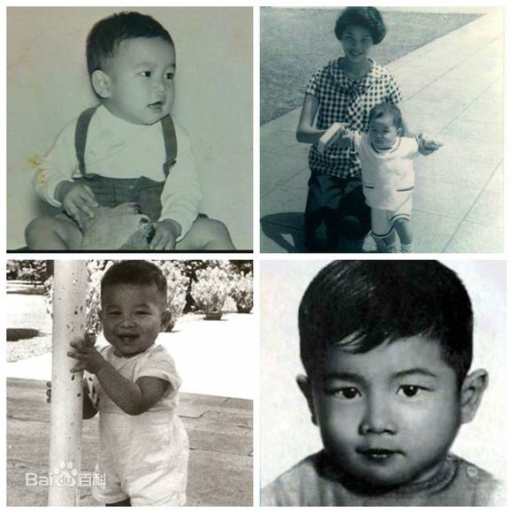 陈百强(Danny Chan)成长记录图册素颜照相册