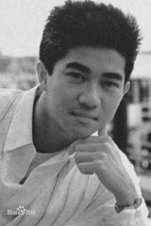 陈百强(Danny Chan)成长记录图册素颜照相册