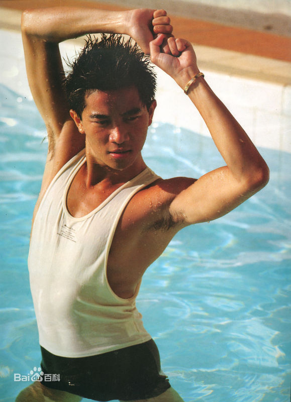 陈百强(Danny Chan)最全专辑封面图片壁纸