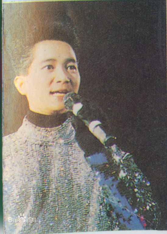 陈百强(Danny Chan)92上海告别演唱会图片图册