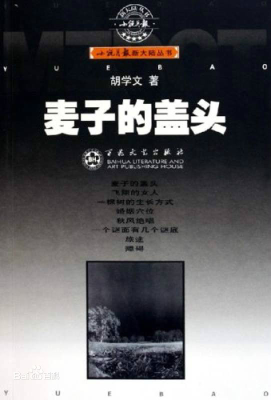 胡学文主要作品图片图册