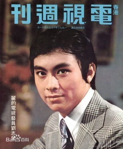 刘志荣参演电视电影最优质海报相册